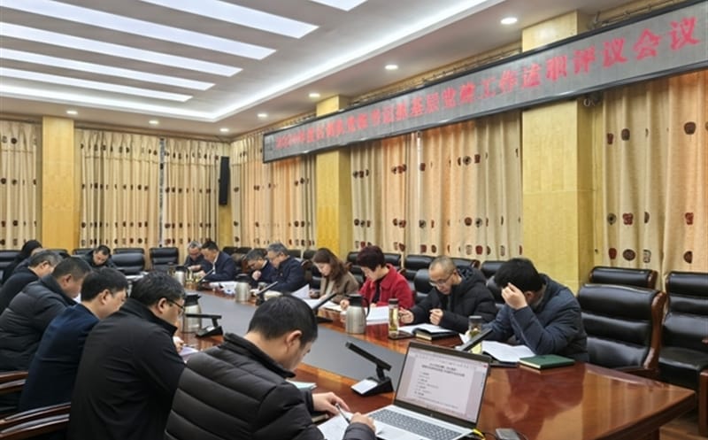 区调队党委召开党组织书记抓下层党建事情述职评议会