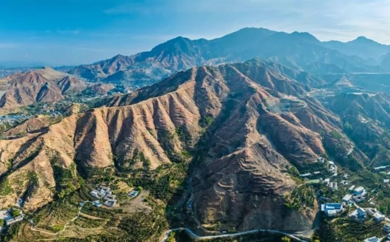 “新”“新”向荣强动能丨拉斯维加斯3133cc刷新生长综述