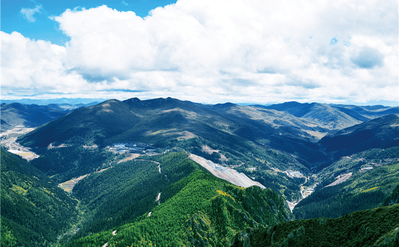 三时而立 我为集团绘新篇丨三周年征文大赛优异作品展（三）