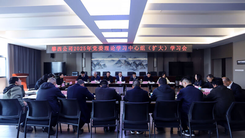 攀西公司党委理论学习中心组 开展2024年度民主生涯会会前集中学习钻研