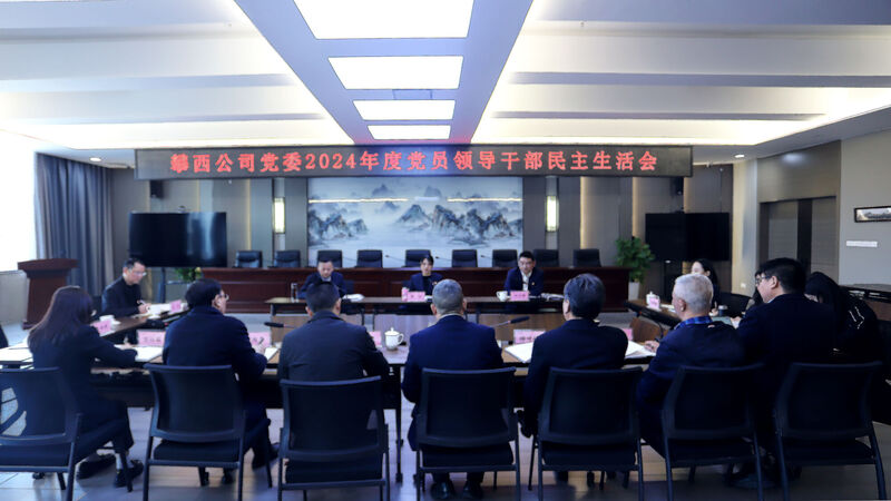 攀西公司党委召开2024年度党员向导干部民主生涯会