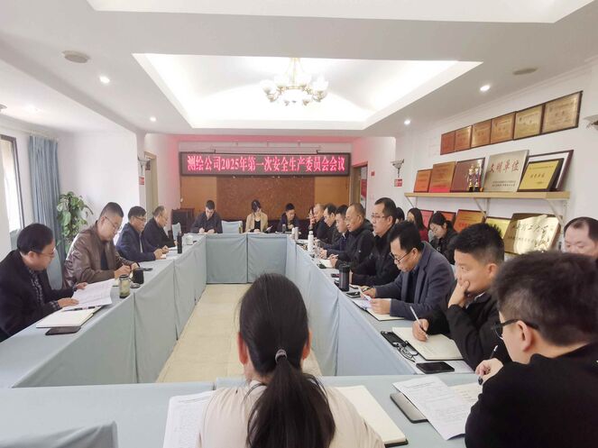 测绘公司召开2025年第一次清静生产委员会聚会