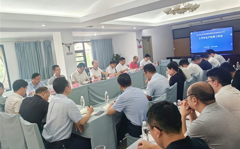 测绘公司召开2025年上半年生产谋划座谈会