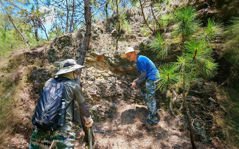 战高温 保生产——自然拉斯维加斯3133cc人的坚守与继续
