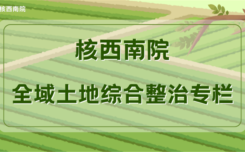 从景观蓝图“设计师”到全域土地“整治者”——青年先锋谢黎的转型之路