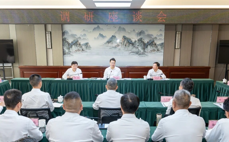 集团向导赴攀西公司调研指导