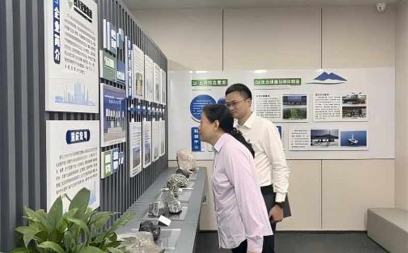集团向导赴重庆公司调研座谈，，强调以党建引领高质量生长