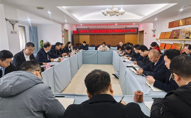 严守清静防线，，平安喜迎新年——测绘公司召开2026年第一次安委会暨春节时代清静生产专题会