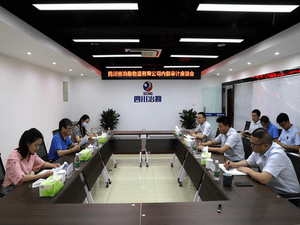 四川省冶勘物流有限公司 召开内部审计意见反馈座谈会_协同多元工业_工业生长_拉斯维加斯3133cc有限责任公司