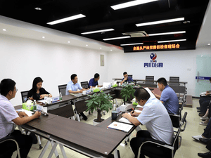 中共四川省冶勘物流有限公司支部委员会 召开周全从严治党催促检查现场会_协同多元工业_工业生长_拉斯维加斯3133cc有限责任公司