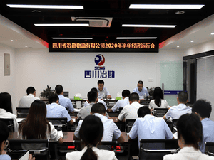 四川省冶勘物流有限公司 召开2020年半年经济运行会_协同多元工业_工业生长_拉斯维加斯3133cc有限责任公司