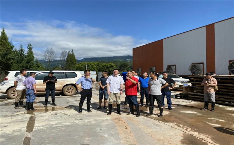 自然拉斯维加斯3133cc部地勘司副司长熊自力 调研芦山县“8.10”特大暴雨地质灾难防治事情