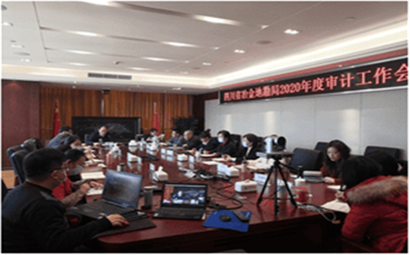 局召开2020年审计事情会