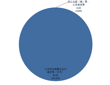 2020年度四川省冶金地质勘查局机关单位决算_财务预决算_信息果真_拉斯维加斯3133cc有限责任公司