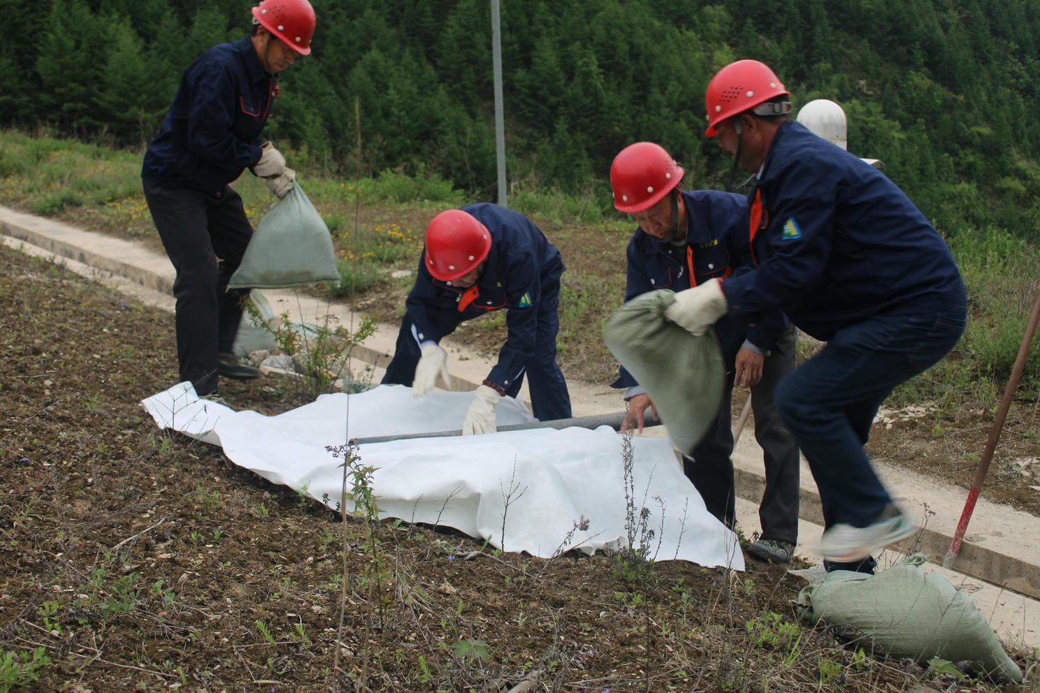 拉斯维加斯3133cc(中国集团)有限公司官网