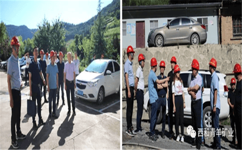 多彩青羊 大美鑫顺 鑫顺人泼墨挥毫绽青春 图画溢彩送祝福 浓墨淡彩庆祝鑫顺二十载 7月1日，，，，，，西和青羊矿业在庆祝七一建党之际，，，，，，盛大举行了鑫顺矿业建设20周年艺术作品展，，，，，，42件优异艺术作品在青羊矿业办公楼参展，，，，，，向鑫顺矿业建设20周年献礼！ 本次参展作品形式包括书法、绘画、刺绣