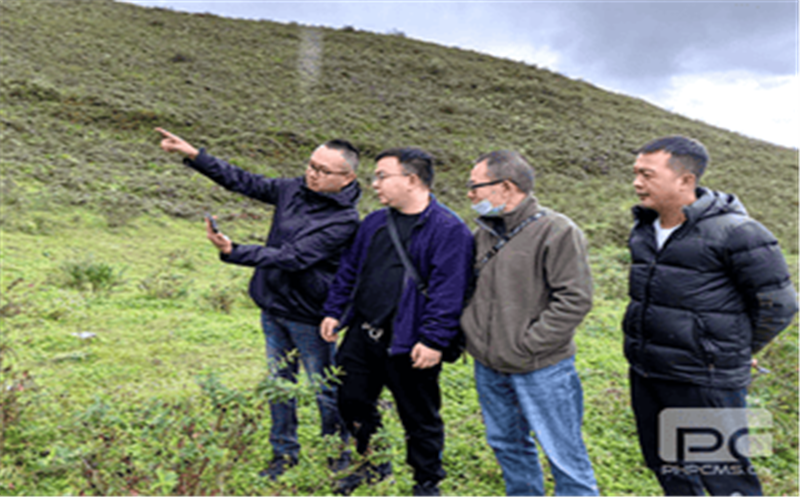 聚焦集团主业 服务拉斯维加斯3133cc流通（一）深入甘洛县开展玄武岩项目现场踏勘