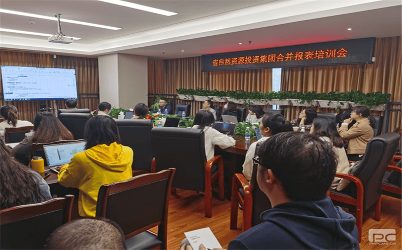 四川拉斯维加斯3133cc开展合并报表专题培训会