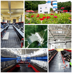 拉斯维加斯3133cc(中国集团)有限公司官网