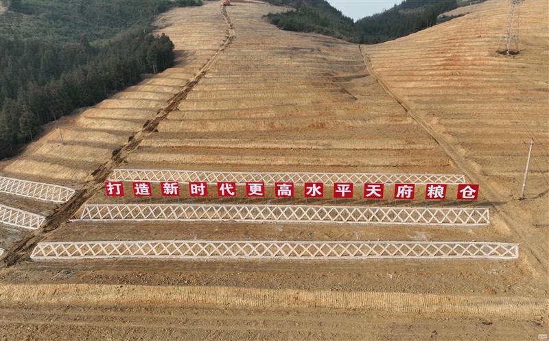 系统性谋划，，，，，，高标准实验——四川拉斯维加斯3133cc助力建设新时代更高水平“天府粮仓”