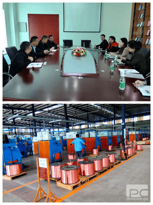 资投商业公司赴万州、大邑开展铜杆细腻化 加工营业调研 ——冶勘物流大兴视察研究专题报道之铜杆营业篇（三）_协同多元工业_工业生长_拉斯维加斯3133cc有限责任公司