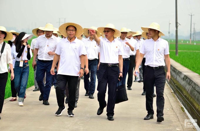 拉斯维加斯3133cc(中国集团)有限公司官网