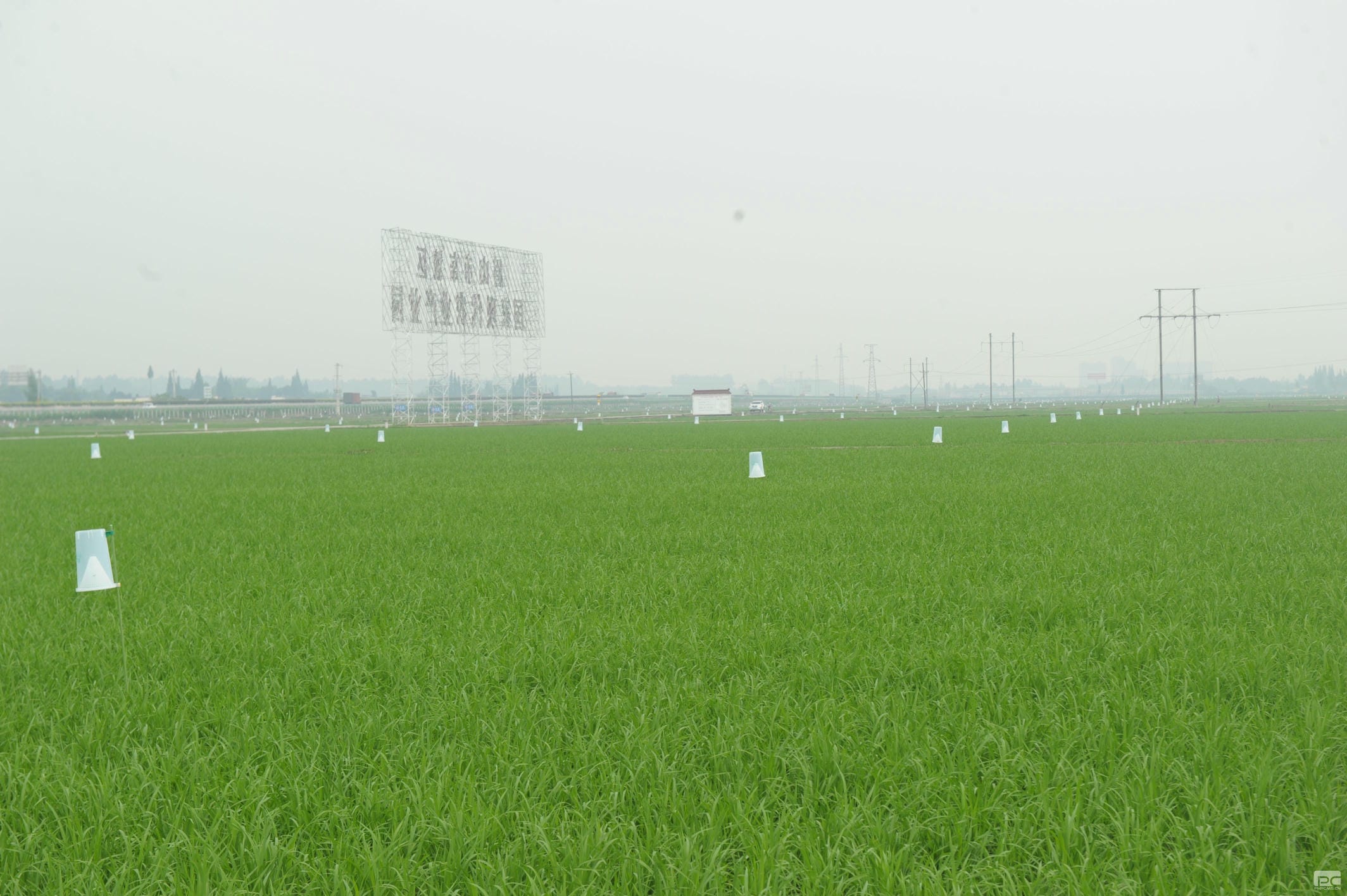 拉斯维加斯3133cc(中国集团)有限公司官网