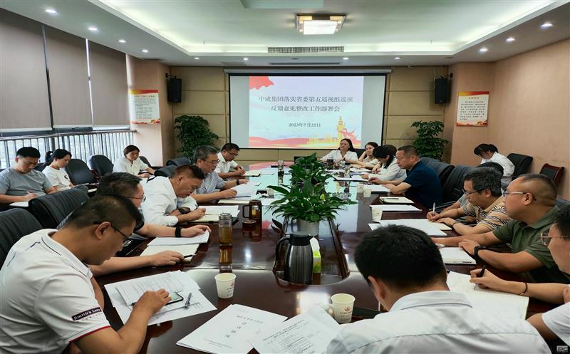 中成集团召开落实省委巡视反馈意见整改事情安排会