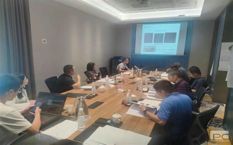 芦山县重点区域三维激光雷达扫描隐患识别项目效果报告顺遂通过评审