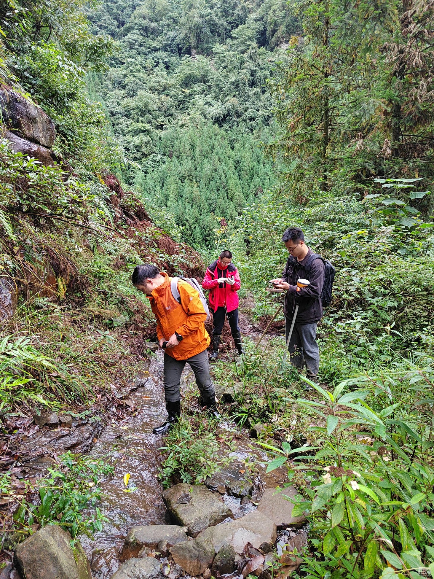 拉斯维加斯3133cc(中国集团)有限公司官网