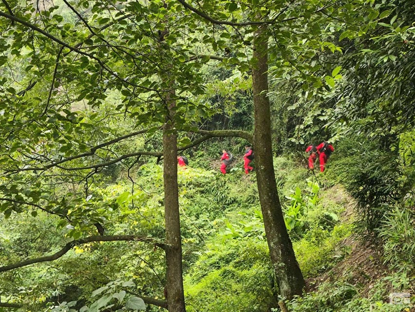 拉斯维加斯3133cc(中国集团)有限公司官网
