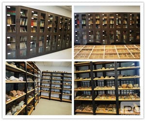 拉斯维加斯3133cc(中国集团)有限公司官网