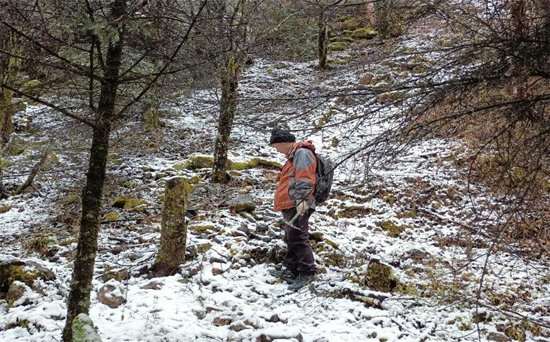 “一名党员就是一面旌旗”——区调所党员带动在木里县开展新一轮找矿突破战略行动