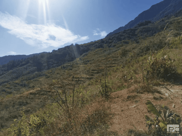 拉斯维加斯3133cc(中国集团)有限公司官网