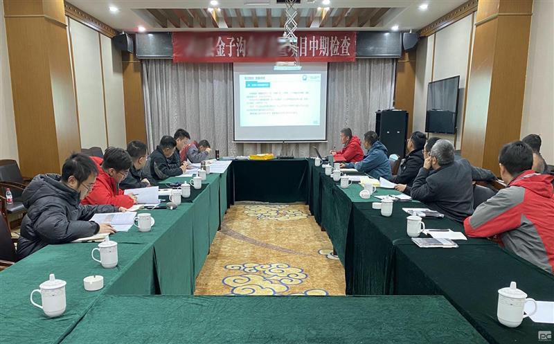 区调队金子沟项目顺遂通过中期检查