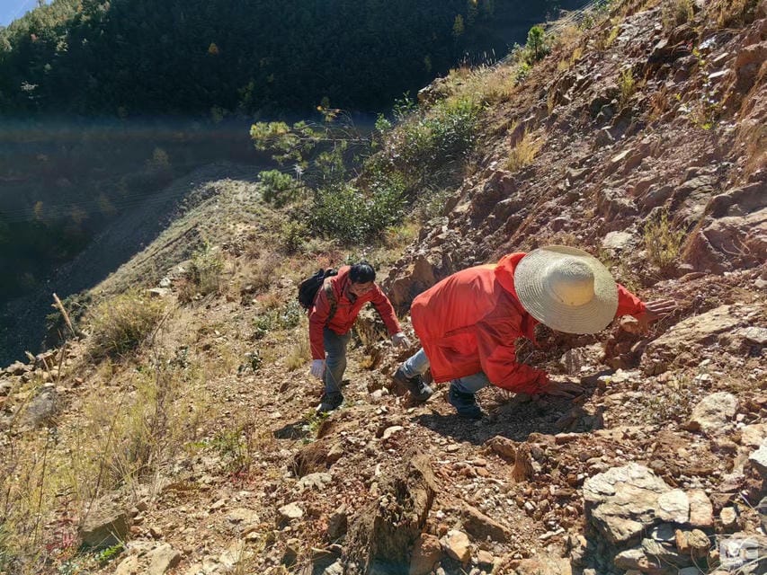 拉斯维加斯3133cc(中国集团)有限公司官网