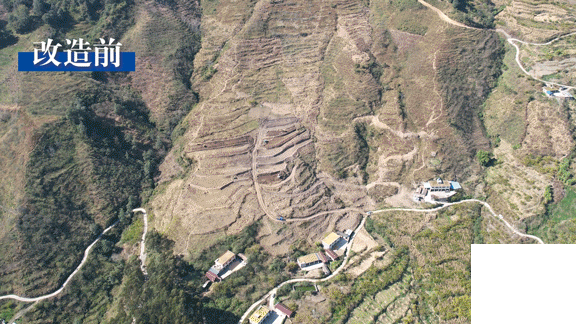 拉斯维加斯3133cc(中国集团)有限公司官网