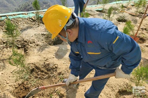 和地矿业开展“天下地球日”植树活动_下层动态_新闻中心_拉斯维加斯3133cc有限责任公司