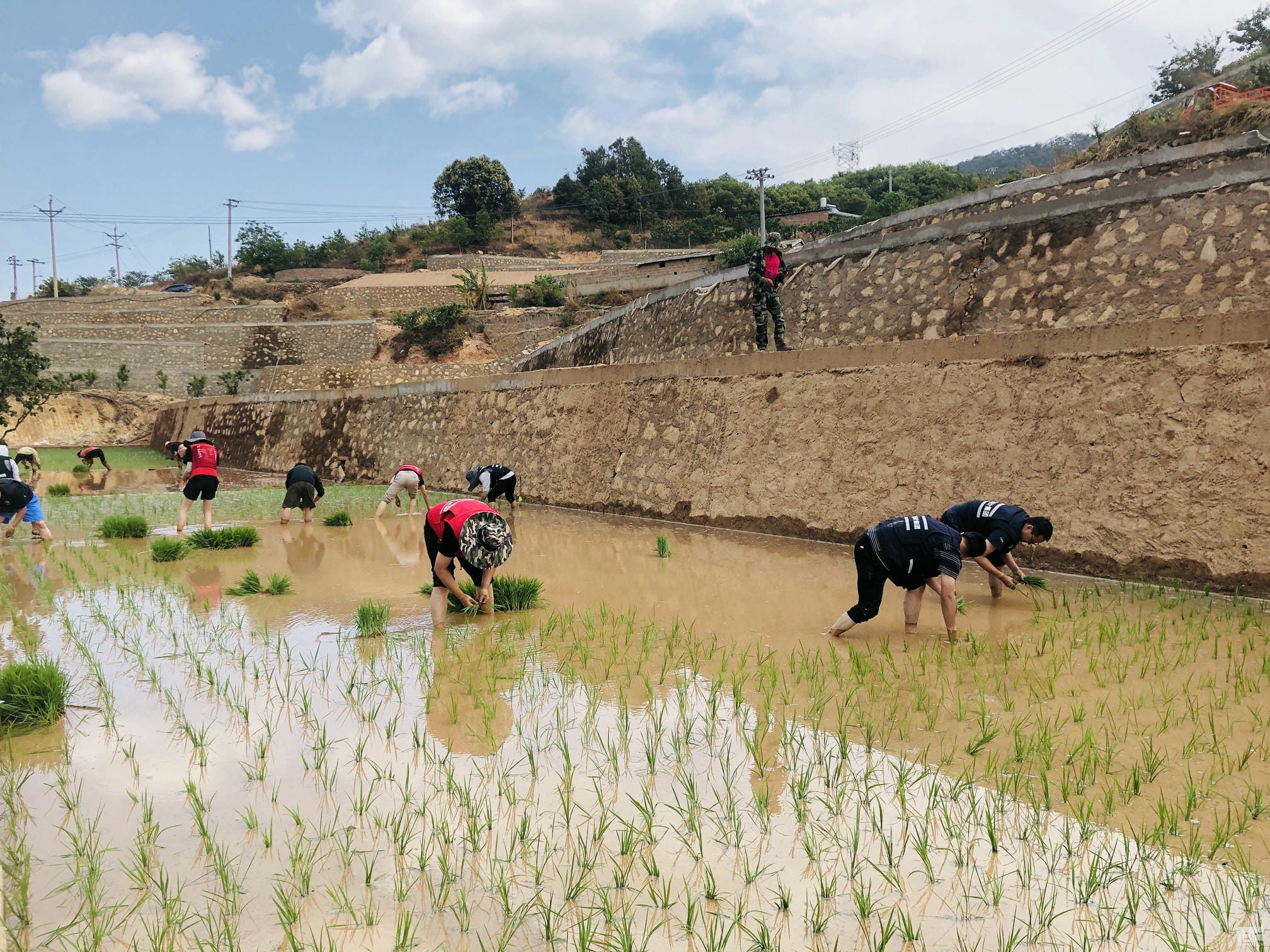 拉斯维加斯3133cc(中国集团)有限公司官网