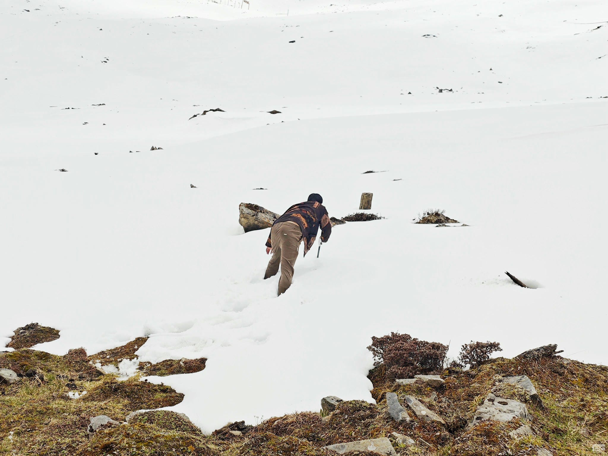 拉斯维加斯3133cc(中国集团)有限公司官网