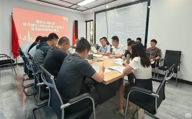 攀西公司向导率队到直属企业和项目部调研指导事情