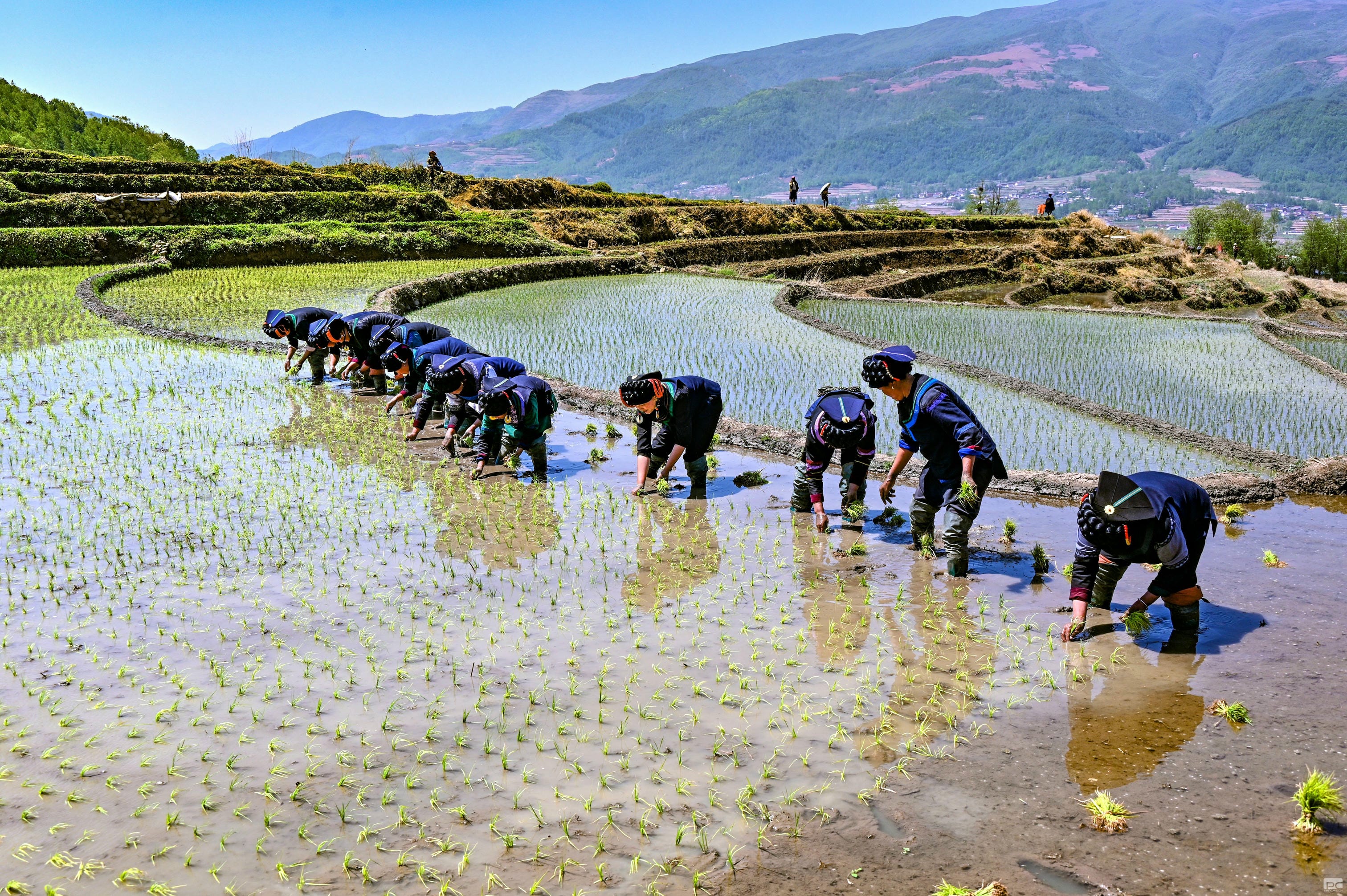 拉斯维加斯3133cc(中国集团)有限公司官网