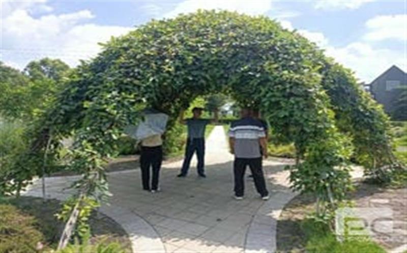 工业帮扶|华锋钻探驻村干部组织村组班子及致富带动人外出学习考察  助力工业可一连生长