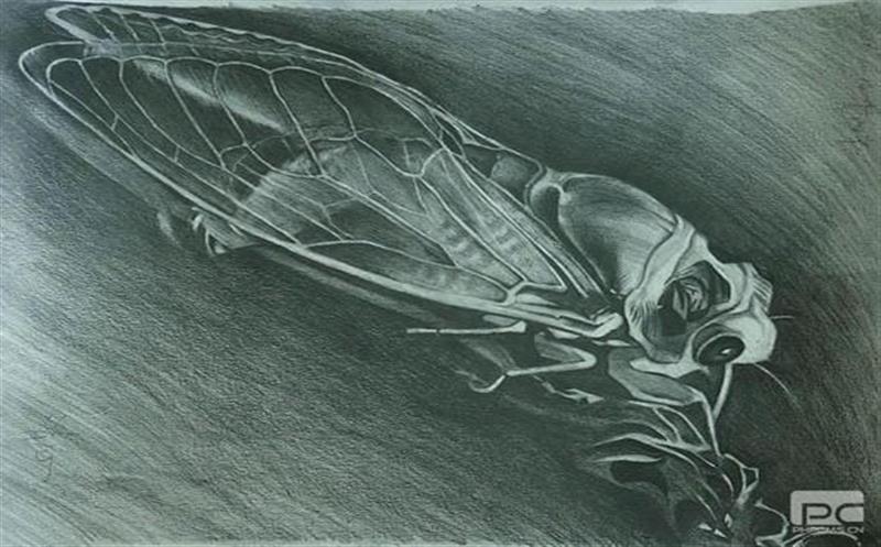 喜讯！区调队字画作品在全省自然拉斯维加斯3133cc系统首届文化节获奖