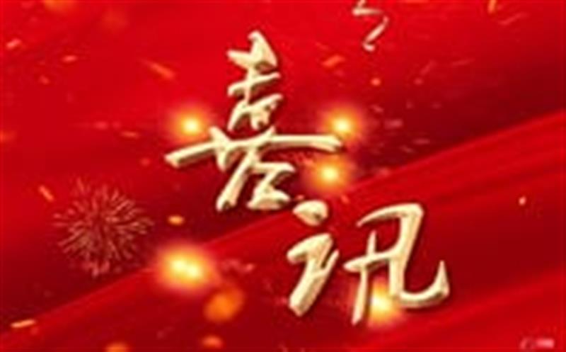 七个标，，，，，总计超4000万！——区调队（容大集团）中标2024年度地质灾难综合治理项目