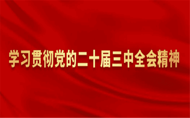 置业集团党委召开理论学习中心组学习（扩大）会转达学习贯彻党的二十届三中全会精神
