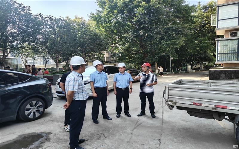 集团向导赴金？？蟛卦址乐蜗钅课课室幌咴惫げ⒕傩星寰布觳