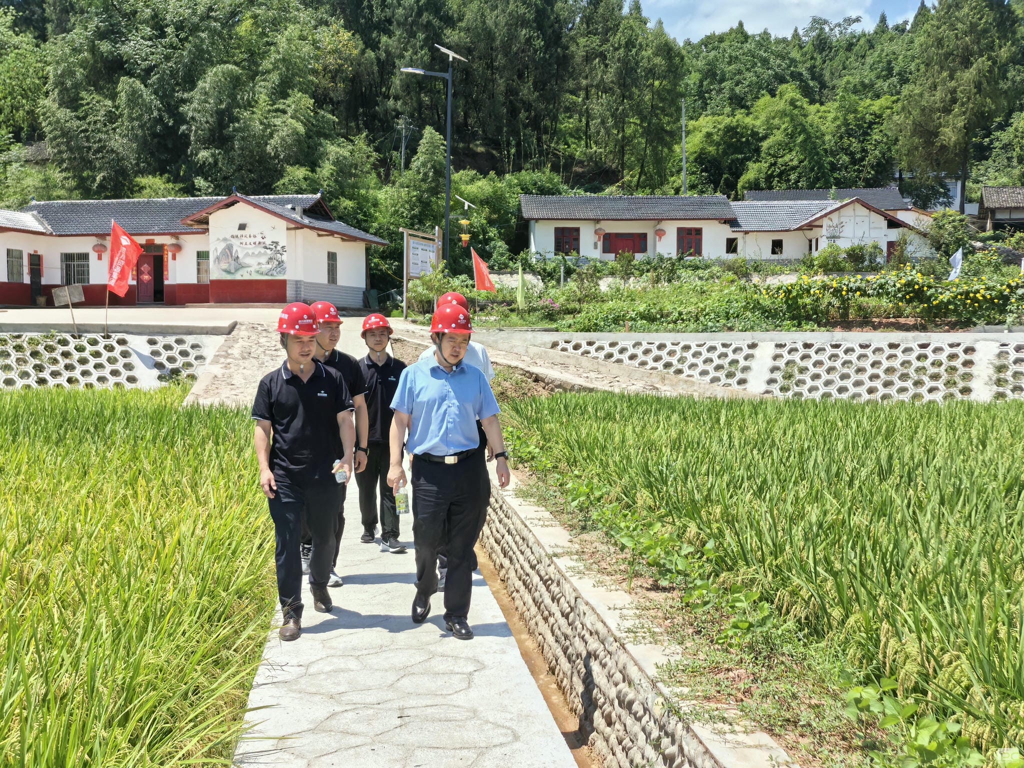 拉斯维加斯3133cc(中国集团)有限公司官网