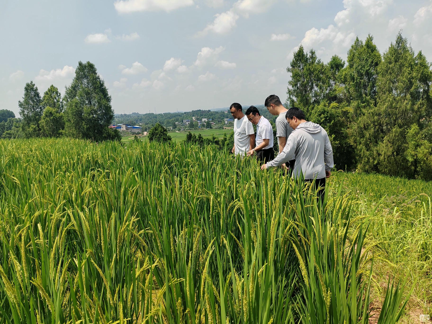 拉斯维加斯3133cc(中国集团)有限公司官网