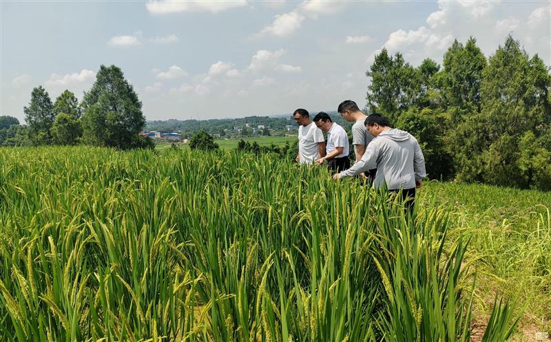 汛期排查不松懈   多措并举抓清静